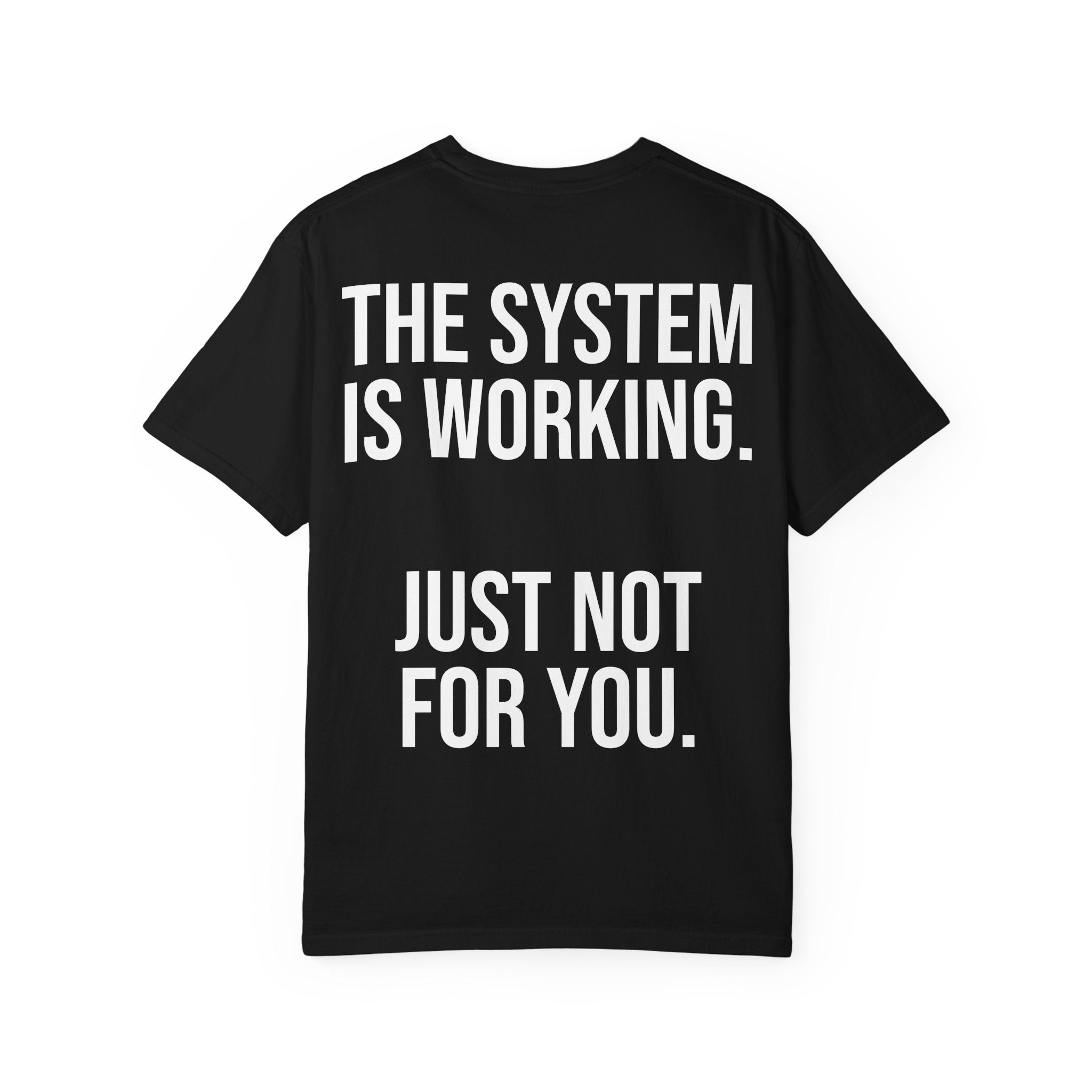 THE SYSTEM IS WORKING. JUST NOT FOR YOU.